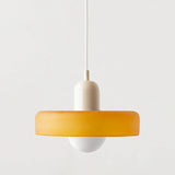 Morandi Style Retro Pendant Lamp